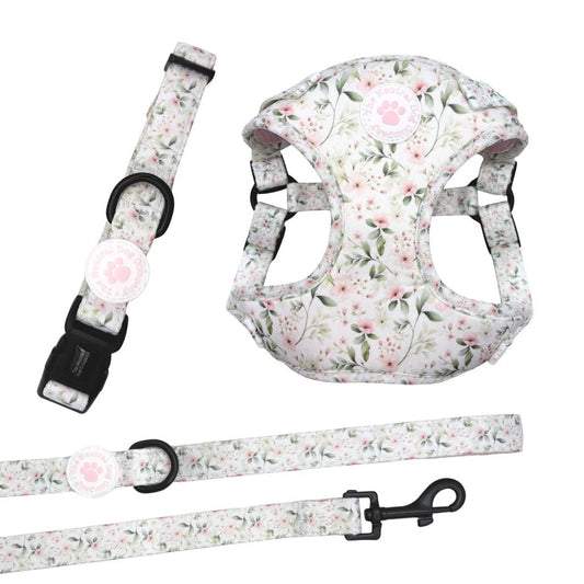 Starter Step-in Dog Harness Bundle - Wild Rose - The Neutral Dog Company