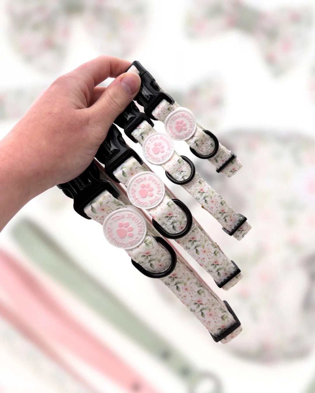 Starter Step-in Dog Harness Bundle - Wild Rose - The Neutral Dog Company