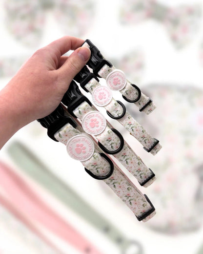 Starter Step-in Dog Harness Bundle - Wild Rose - The Neutral Dog Company