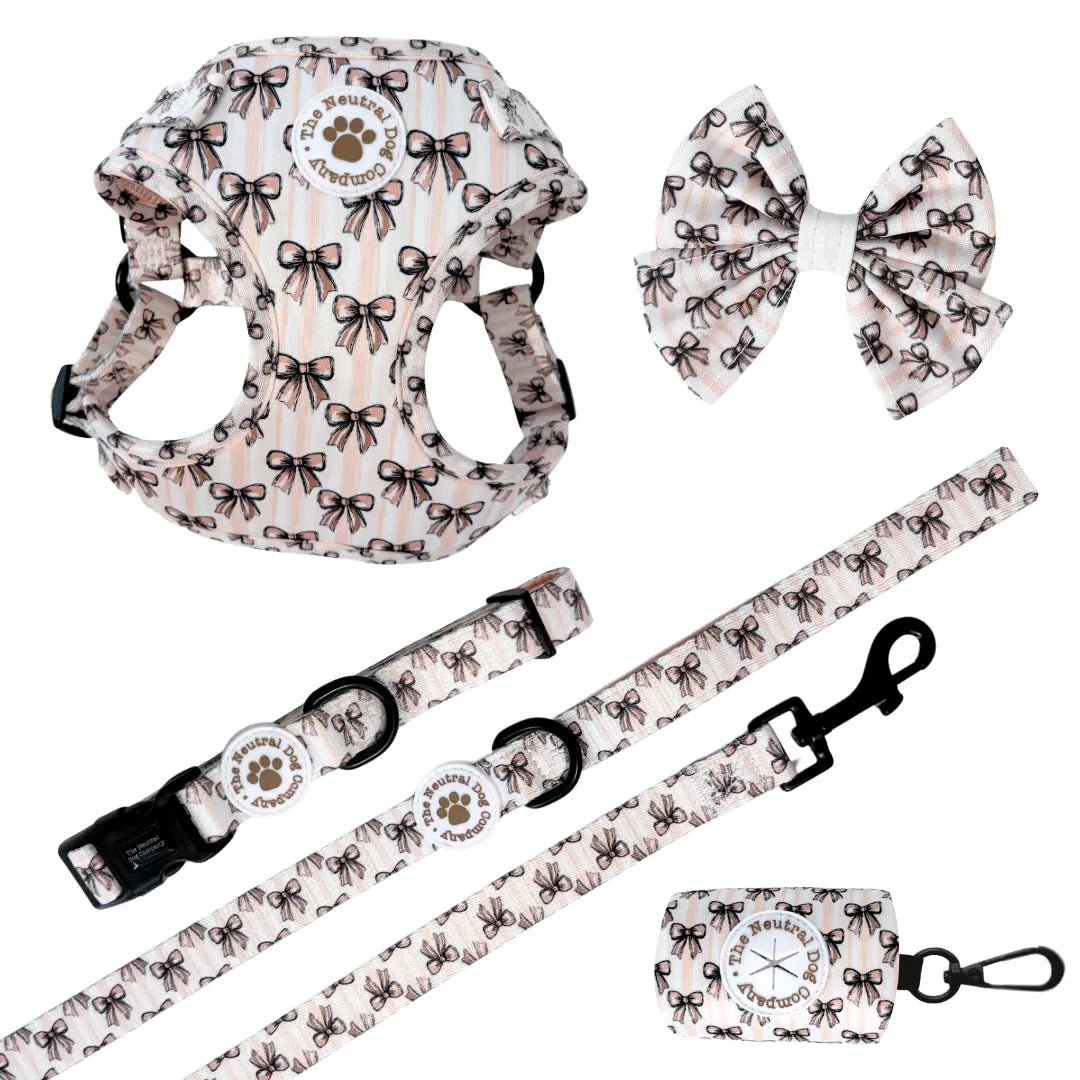 Ultimate Step-in Dog Harness Bundle - Biscotti Bows - The Neutral Dog Company
