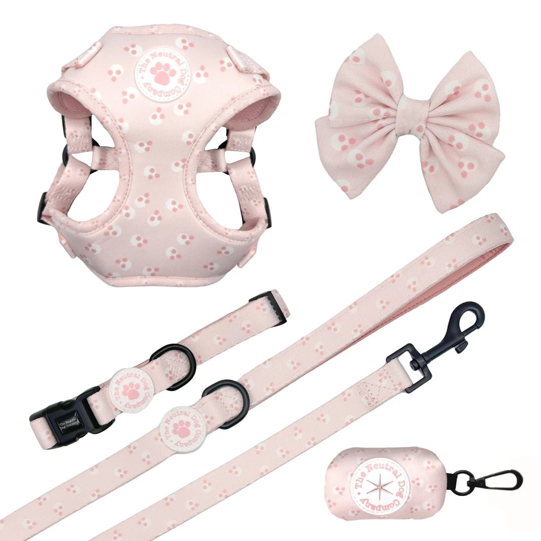 Ultimate Step-in Dog Harness Bundle - Cotton Candy - The Neutral Dog Company