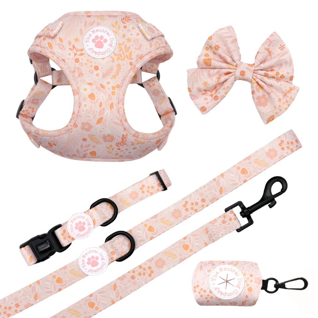 Ultimate Step-in Dog Harness Bundle - Floral Dreams - The Neutral Dog Company