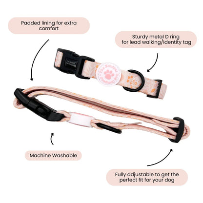 Ultimate Step-in Dog Harness Bundle - Floral Dreams - The Neutral Dog Company